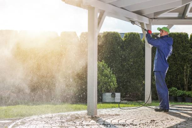 Best Solar Panel Cleaning  in Harpersville, AL