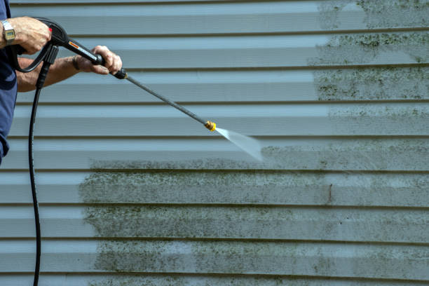Best Pre-Holiday Cleaning  in Harpersville, AL